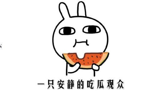 内涵段子吃瓜群,网络社交新现象背后的趣味与争议