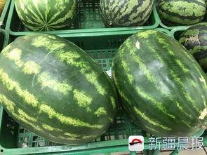 乌市吃瓜交流,品味生活，畅谈人间烟火