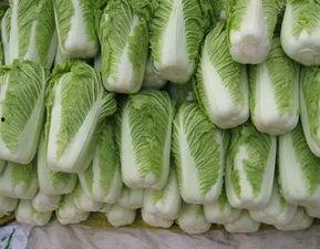 白菜在线吃瓜,揭秘网络吃瓜文化的崛起