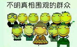 形容吃瓜群众吃的瓜,揭秘吃瓜群众的瓜界盛宴