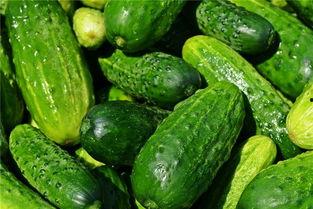 梦见吃烂的瓜,瓜熟蒂落，烂瓜启示录