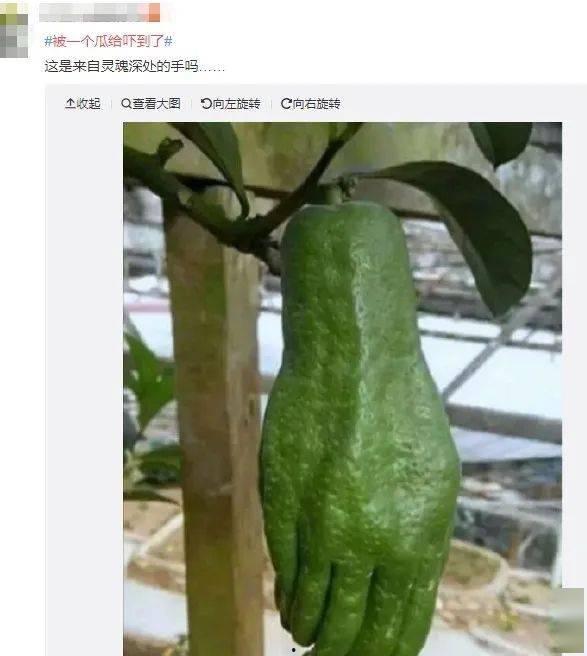 西昌民族吃瓜,瓜果飘香里的美食之旅