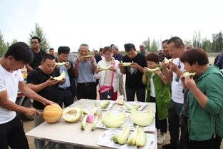 吃老汉瓜的好处,健康生活新选择