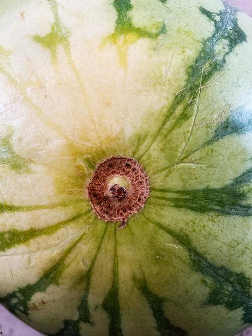 吃瓜系列表演,揭秘娱乐圈幕后故事