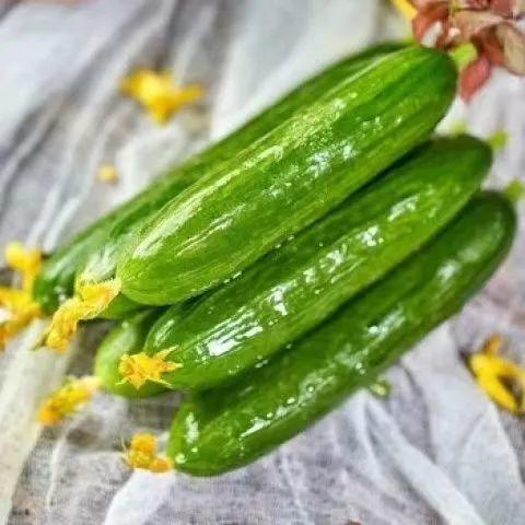 付瓜季节吃,时令美味，健康生活新选择