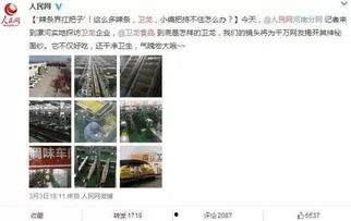 吃瓜网无死角,娱乐圈幕后真相大曝光