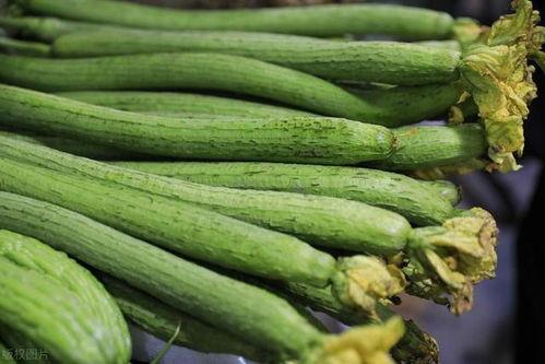 嫩茎瓜怎么吃,探索美味与营养的完美结合