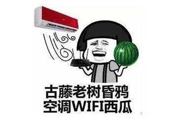 吃瓜群众别再闹,一场网络舆论的风波与反思