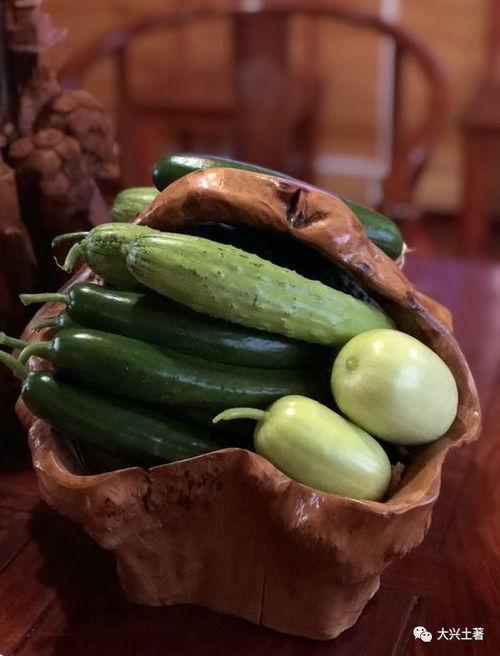 博雅网红吃瓜,揭秘娱乐圈幕后真相