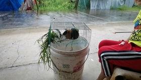 吃瓜循环,揭秘娱乐圈最新热点事件 第1张 吃瓜循环,揭秘娱乐圈最新热点事件 第1张