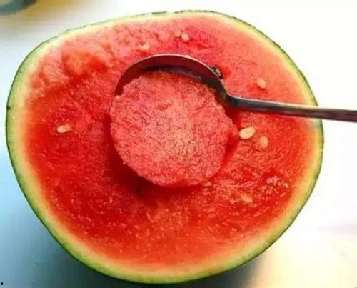 梦见过世老人吃角瓜,世老人与角瓜的奇妙邂逅  第2张