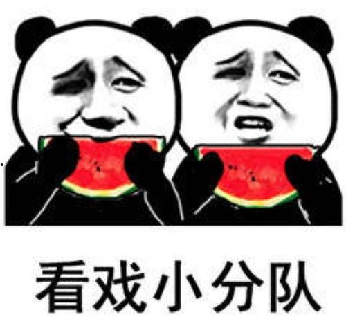 520吃瓜表情包,表情包带你领略年度趣味盛宴  第2张