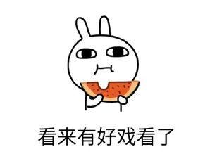 吃瓜是专注吗,揭秘网络时代的“专注”现象  第2张