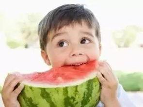 吃瓜是专注吗,揭秘网络时代的“专注”现象  第3张