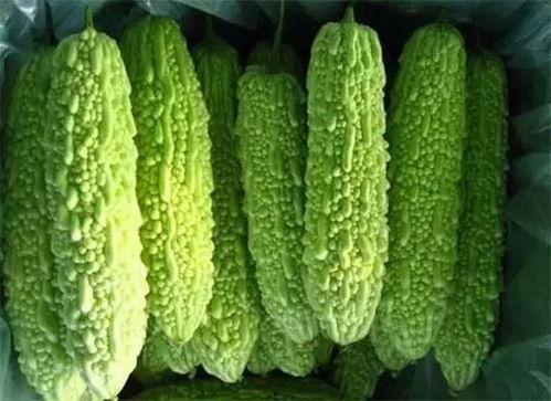 吃瓜王俏俏南宁