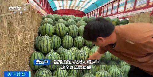 那个平台可以吃瓜,吃瓜群众的狂欢盛宴  第2张