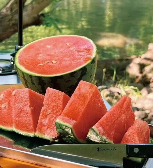 大求真吃瓜科普,吃瓜科普背后的真相与趣味  第3张