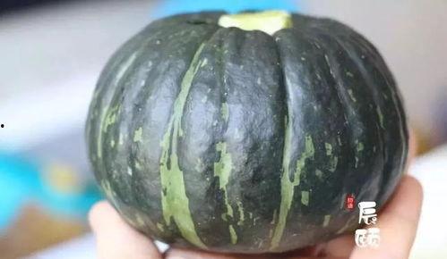 看小孩吃板栗瓜好吗