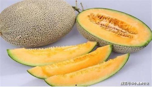 别人吃哈密瓜我吃地瓜,共享美食，共享生活