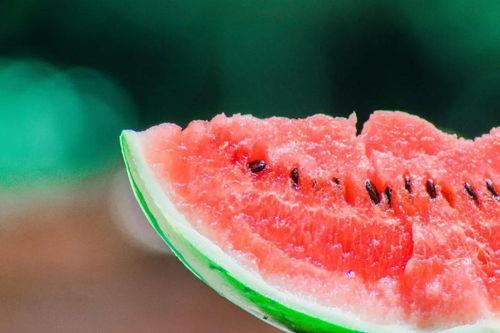 琪子吃瓜  第3张