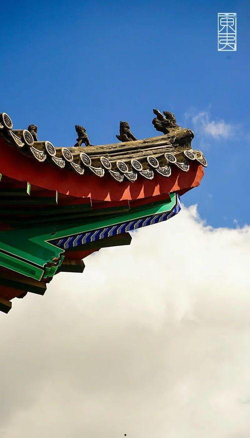 东夷小镇吃瓜,夏日吃瓜盛宴，尽享民俗风情