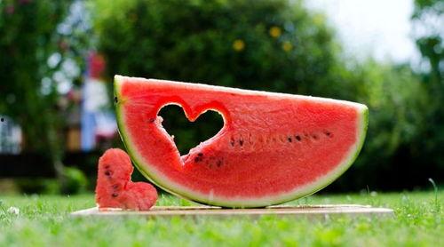 吃瓜相关文案,揭秘吃瓜群众的狂欢盛宴