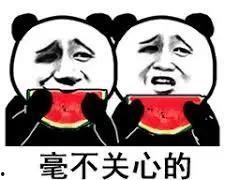 我等着吃瓜,揭秘我等着吃瓜的精彩瞬间