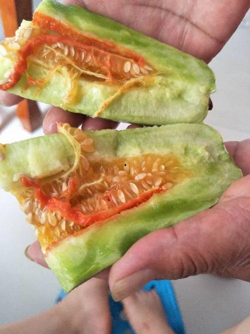 吃黄色瓜什么意思  第2张