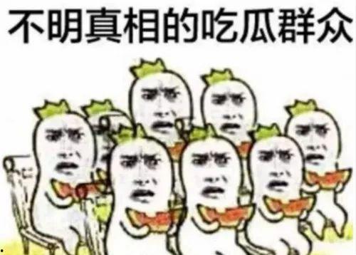 认真当个吃瓜群众,吃瓜群众视角下的娱乐圈风云录  第3张